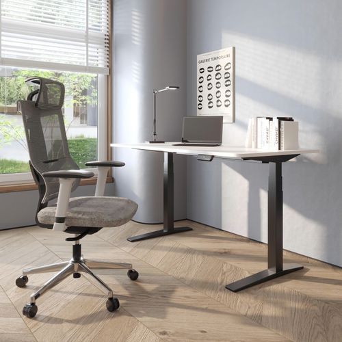 Ergonomic Dynamic Support Chair BS6