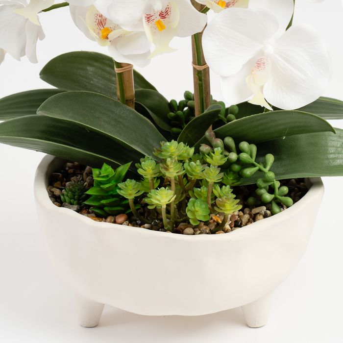 Elegant White Orchid Arrangement in Sculpted Ceramic Planter