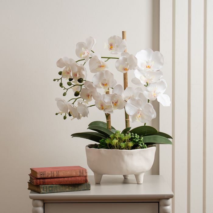Elegant White Orchid Arrangement in Sculpted Ceramic Planter