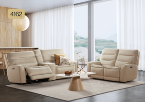 NEST Space Model 4162