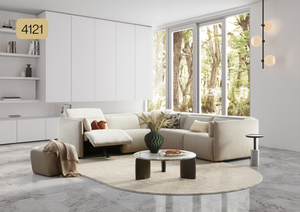 NEST Space Model 4121
