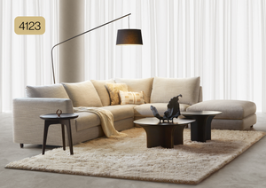 NEST Space Model 4123