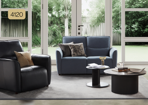 NEST Space Model 4120