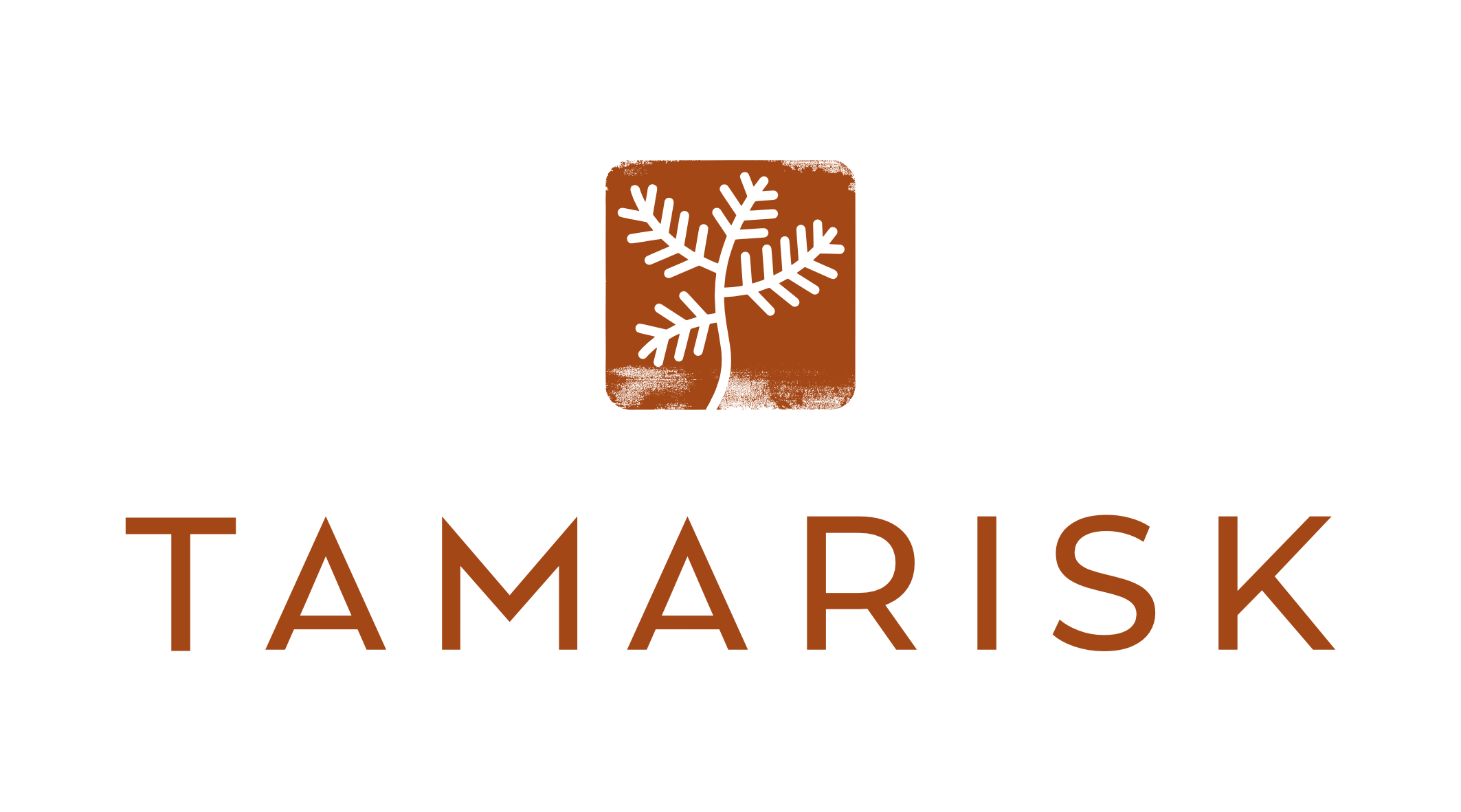 Tamarisk Designs