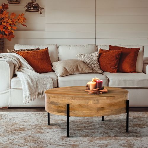 Furniture Feature: Trampoline