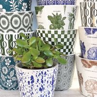 Company name - Casa Verde/Terrace & Garden