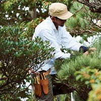 Company name - Niwaki