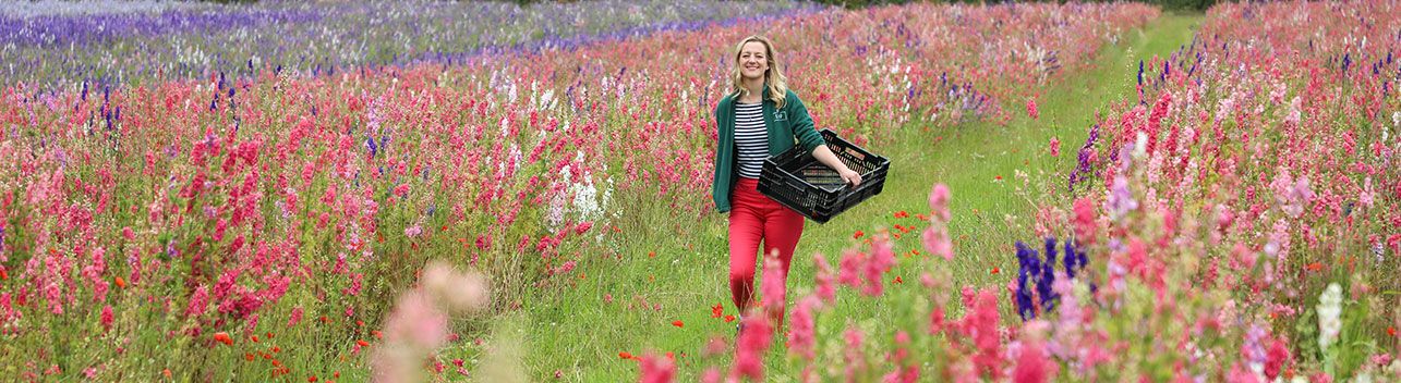 Cover image - LSF Wholesale