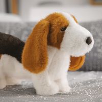 Company name - Aurora World