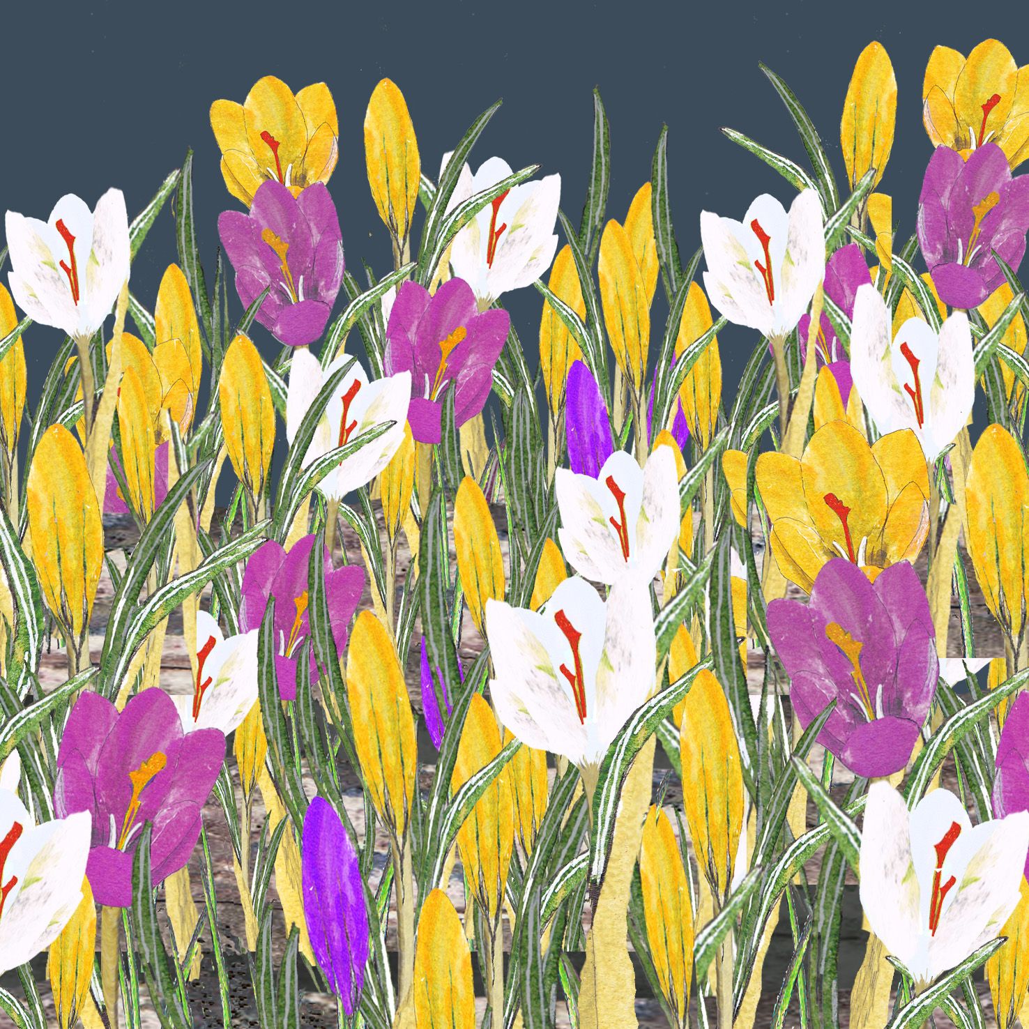 Cover image - Tatty Co Ltd