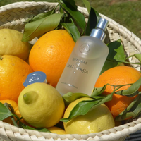 Company name - Hierbas de Mallorca