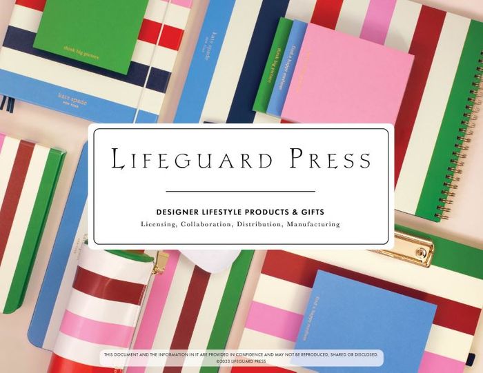 Lifeguard Press + ban.do + Steel Mill & Co Brand Book