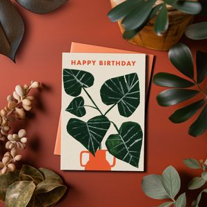 Contemporary Card Collection