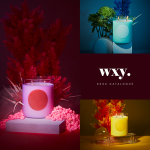 WXY Catalogue '24
