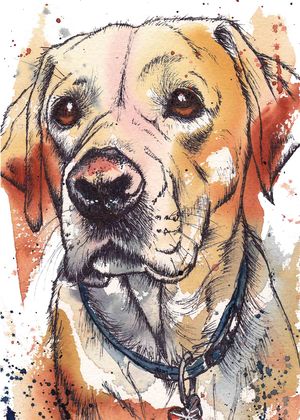 Greeting Card Trade Brochure