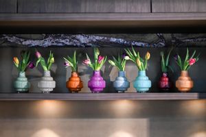 DutZ Collection AW24 Catalogue