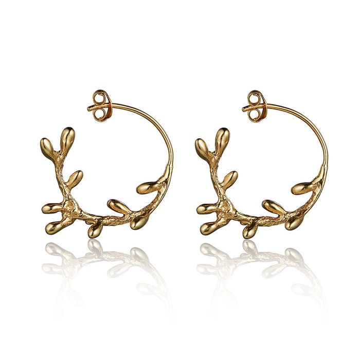 Coral Collection