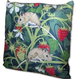 FSW Art Shop Cusions