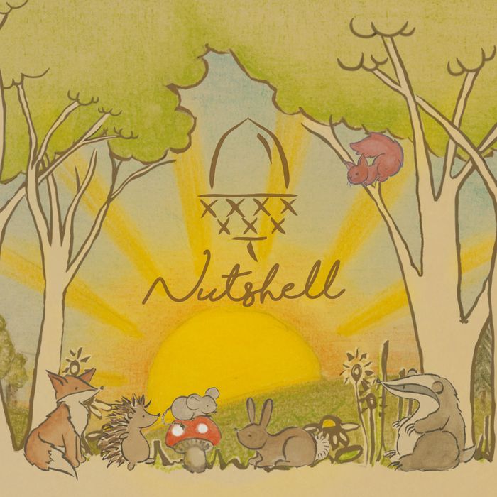 Nutshell Toys