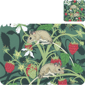 FSW Gallery Placemats and Coasters