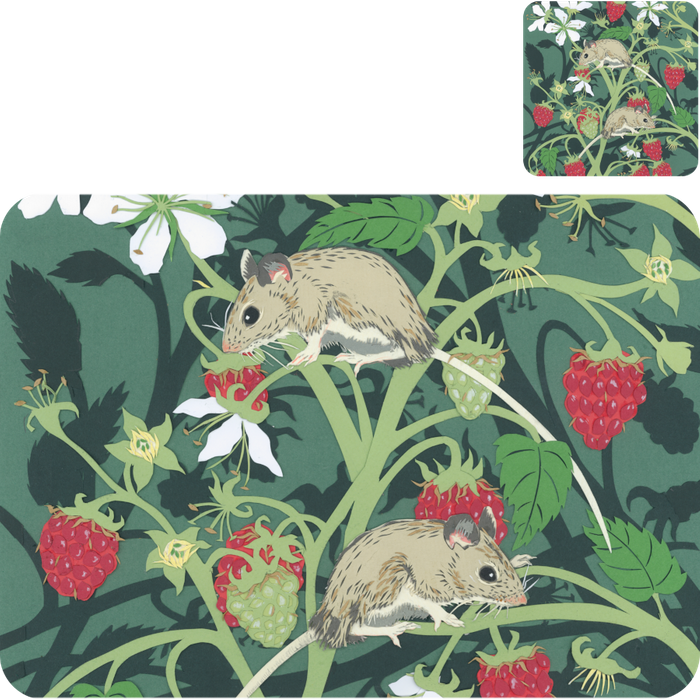 FSW Gallery Placemats and Coasters