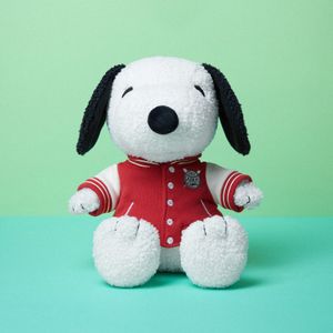 Bon Ton Toys Peanuts AW26