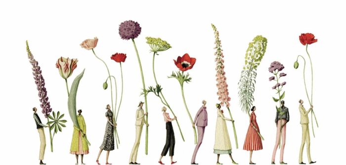 Laura Stoddart's unique illustrations