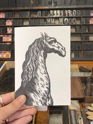 Sanders of Oxford X Passenger Collection