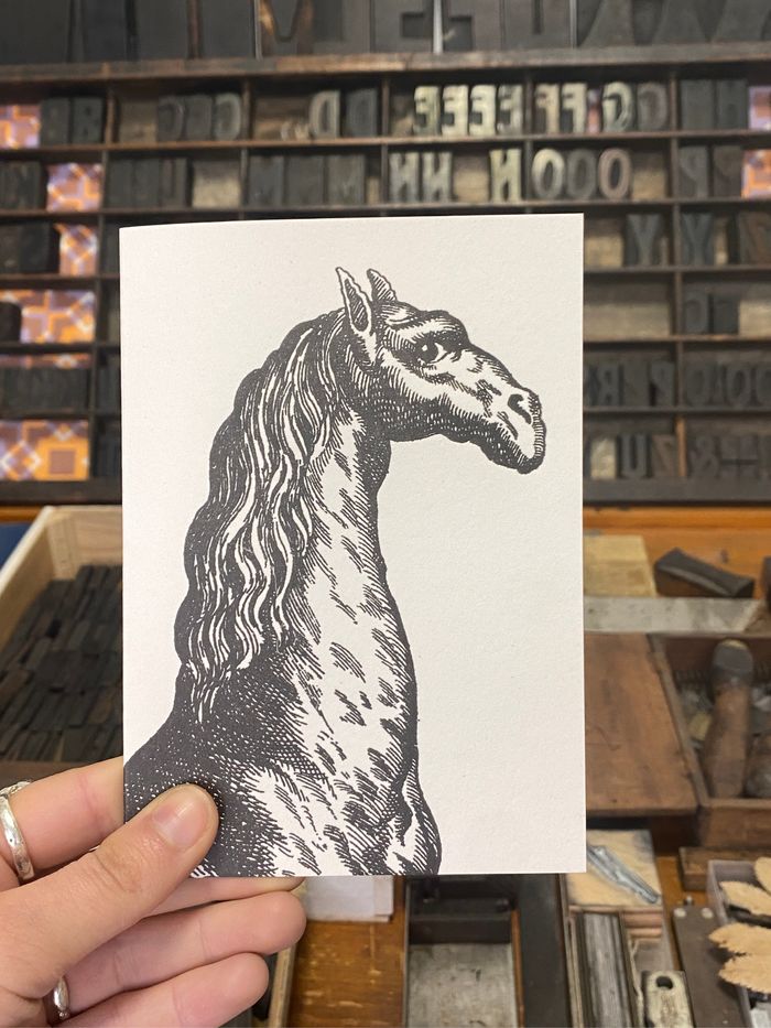 Sanders of Oxford X Passenger Collection