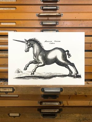 Sanders of Oxford X Passenger Collection