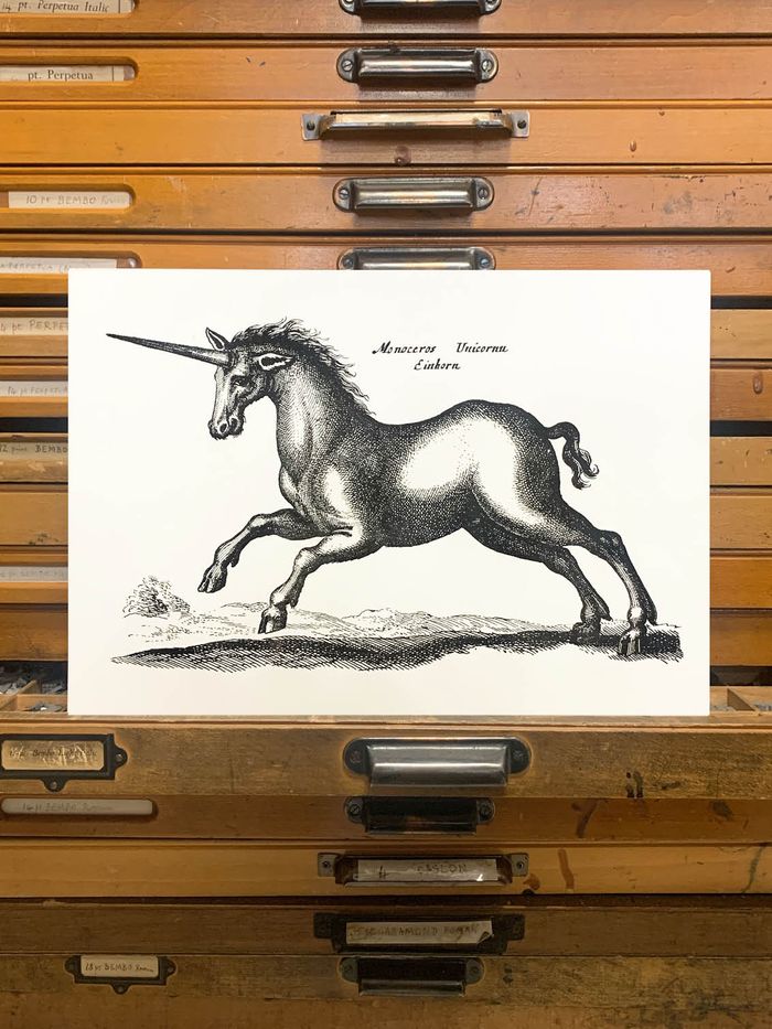 Sanders of Oxford X Passenger Collection