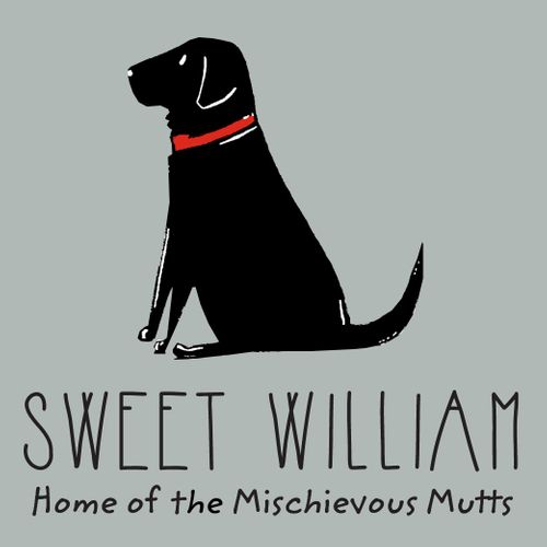 Sweet William wholesale brochure