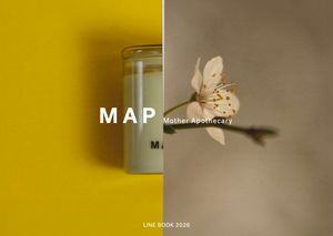 MAP Studio Line book