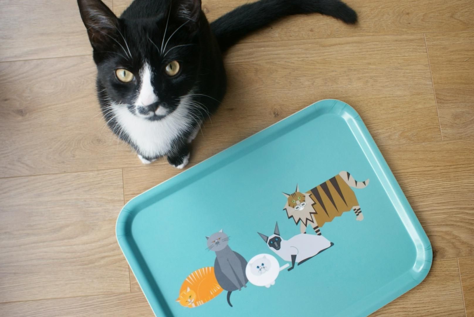 Ethically made trays by Ellie Good Illustration