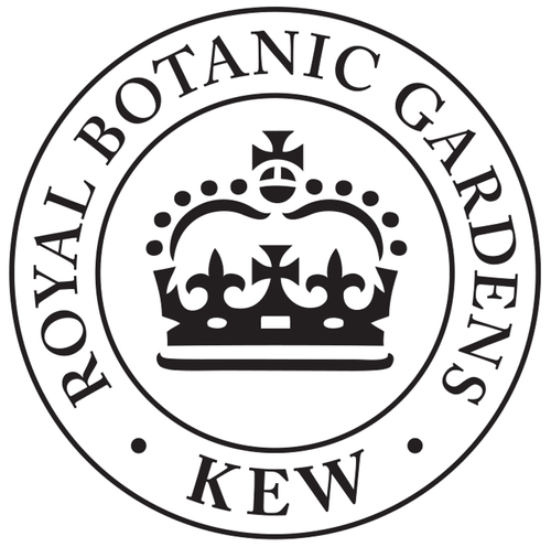 Sarah's unique bubbles glass now selling at Kew Gardens!