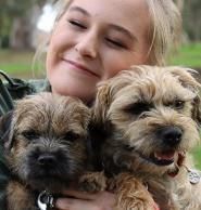 Pampered Pooch trending