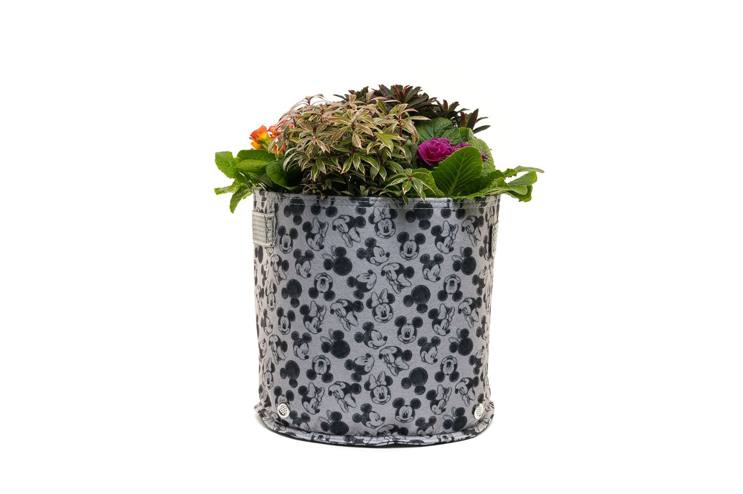 New Disney Licensed Gardening Products