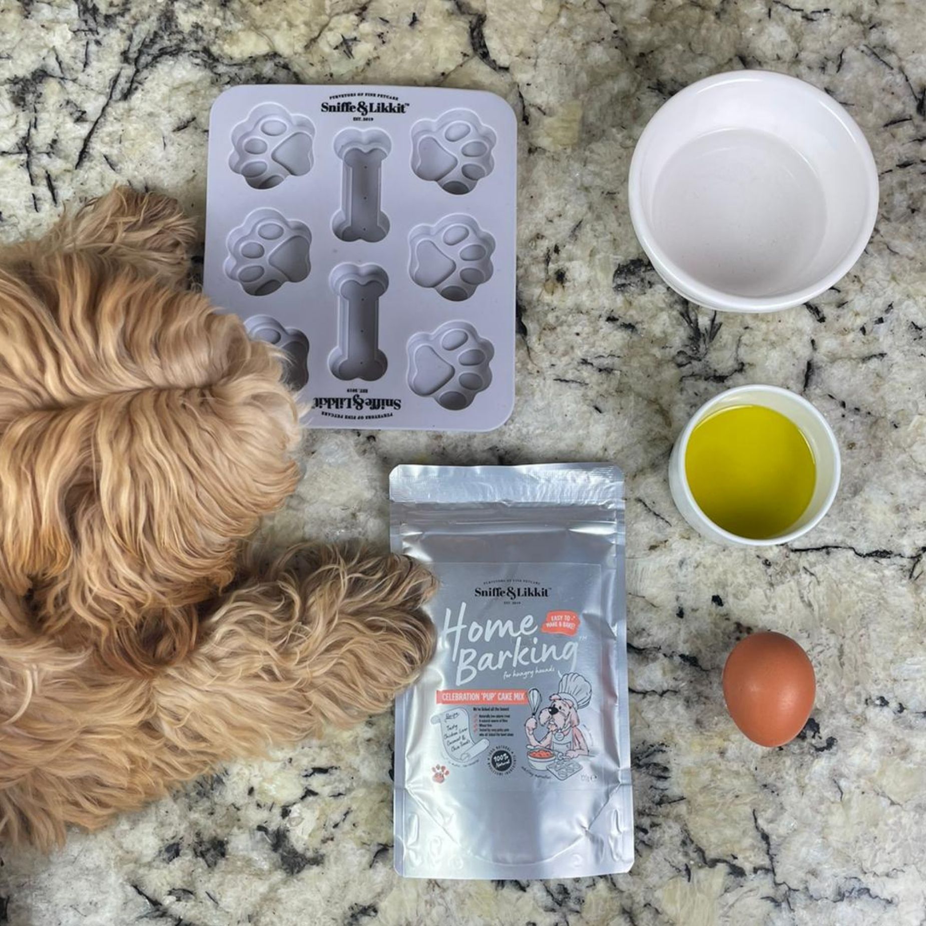 Get Ready For The Great British ‘Bark’ Off!