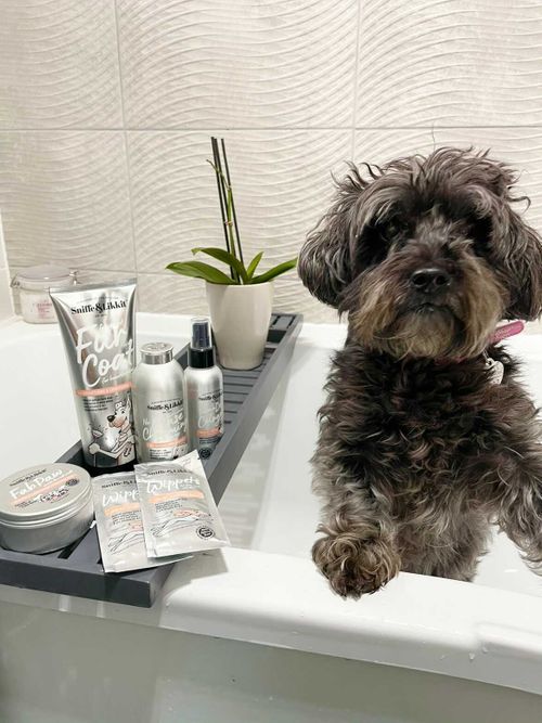 Give Your Pooch A Spruce Up This Summer - Because They’re ‘Woof’ It!