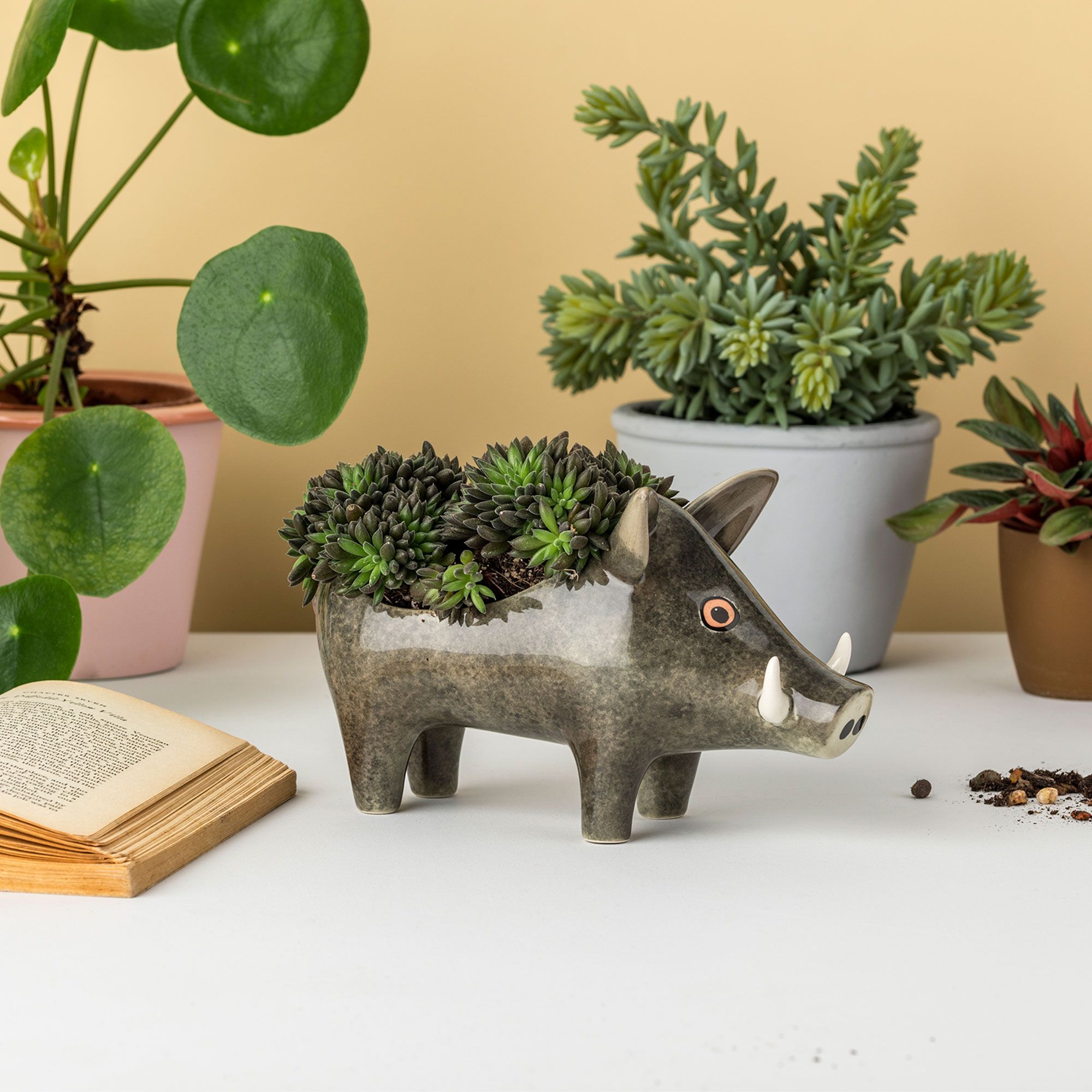 Wander in a woody wonderland with this new collection from Hannah Turner