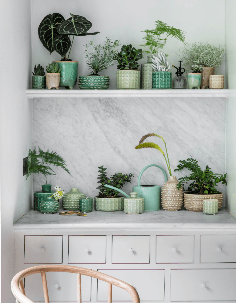 Create an Indoor Plant Display