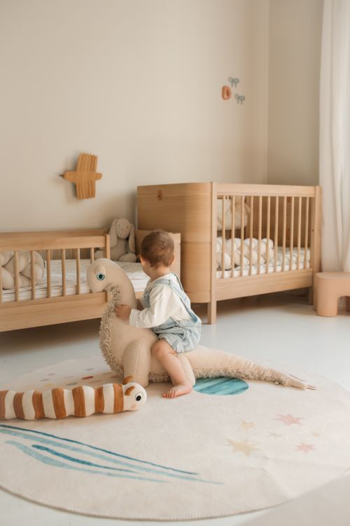 Color Knot Rug