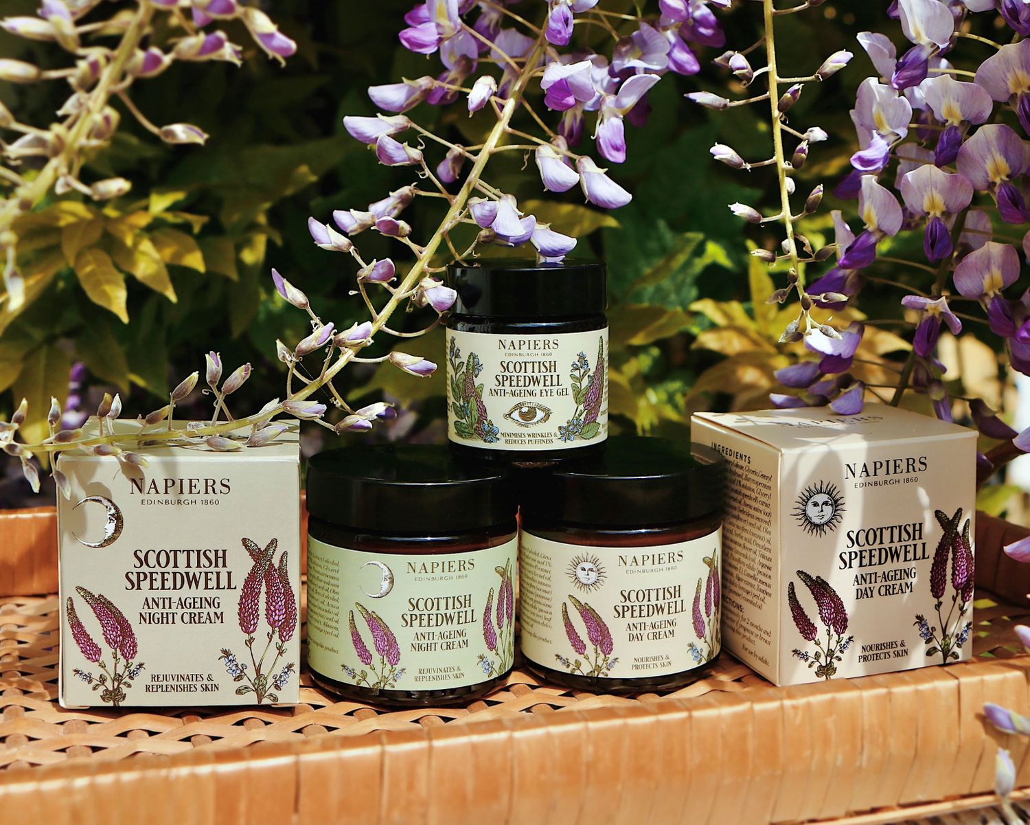 Cover image - Napiers the Herbalists
