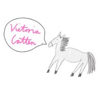 Company name - Victoria Catten Designs