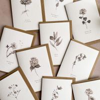 Company name - Kester Studio