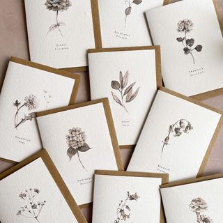 Exhibitor profile image for Kester Studio