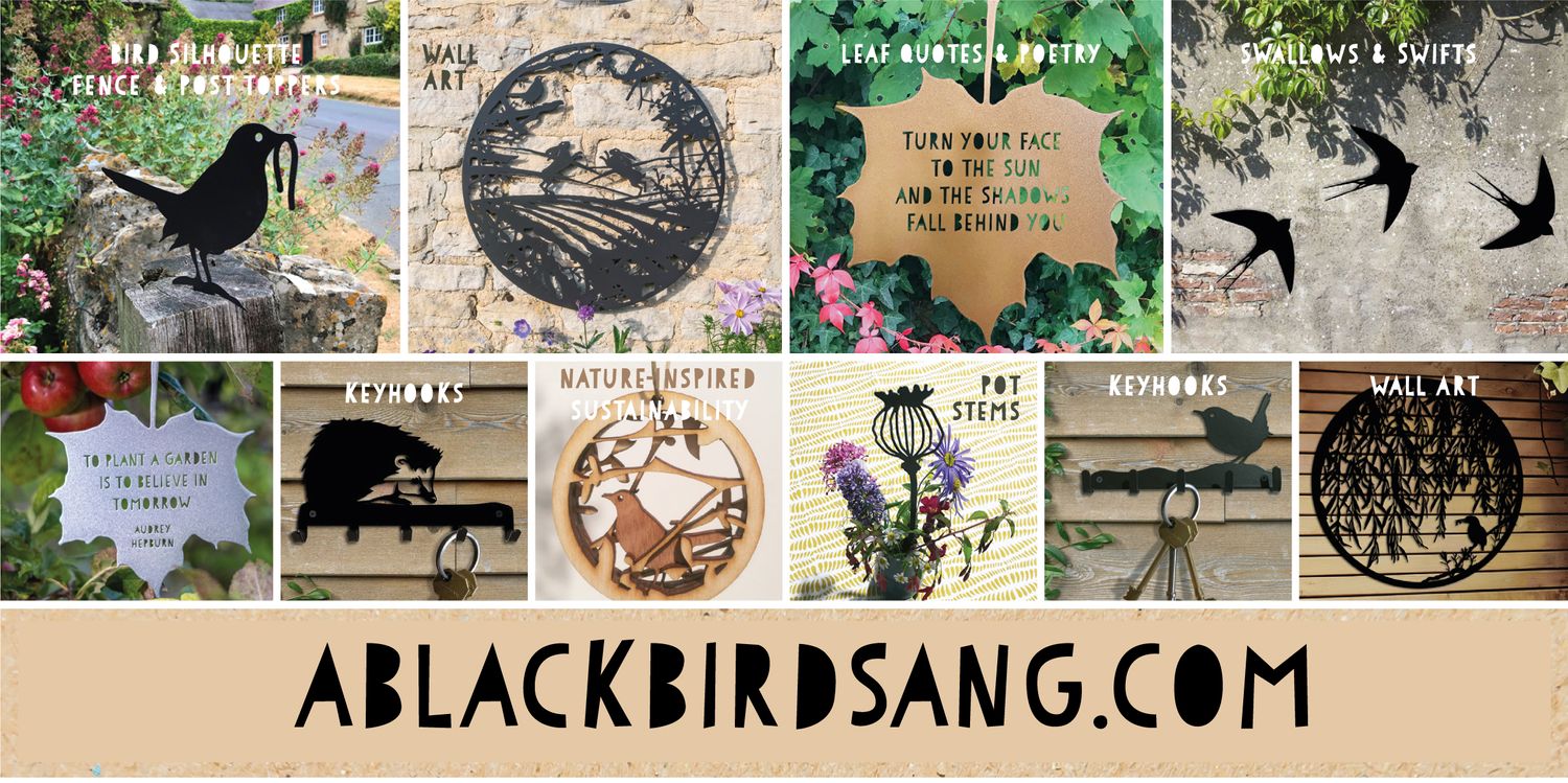 Cover image - A Blackbird Sang