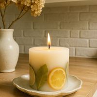 Company name - Aircare Brands Ltd