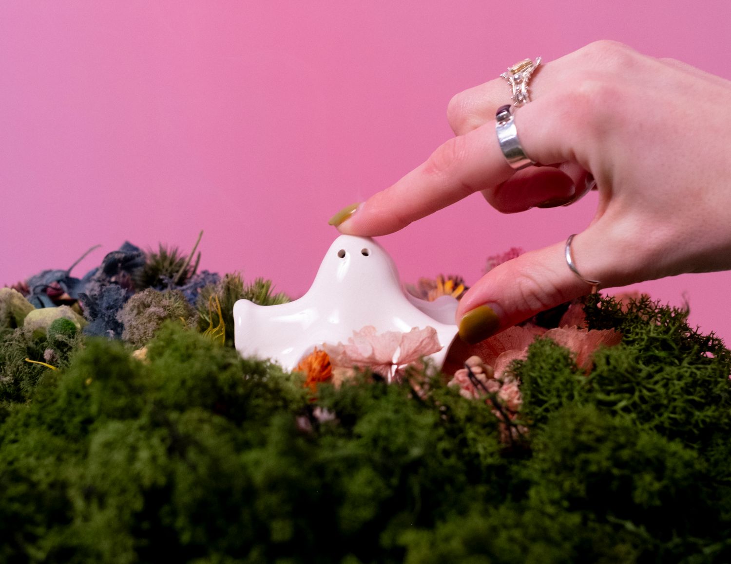 Cover image - Rosie Johnson