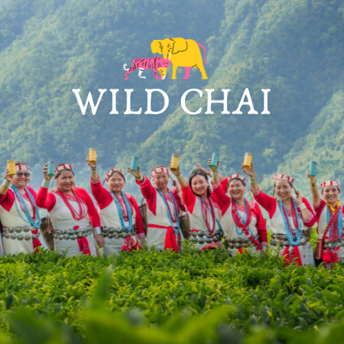 Cover image - Wild Chai
